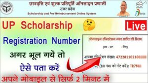 UP Scholarship Registration Number Forgot