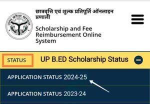 UP Bed Scholarship Status